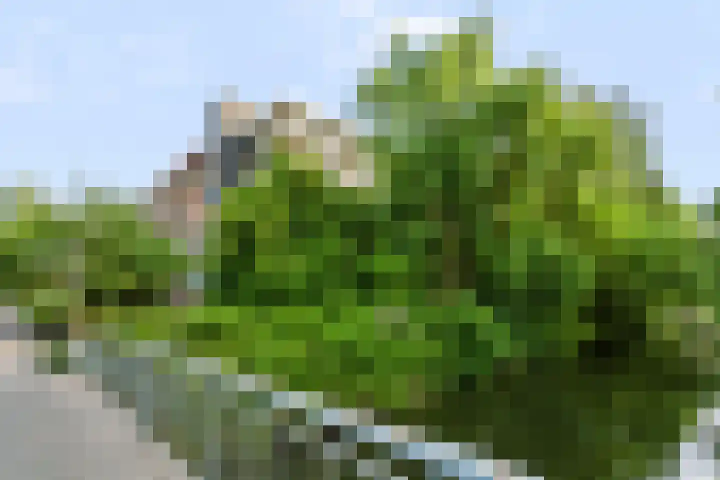 Matenalaan 145 Arnhem thumbnail 36