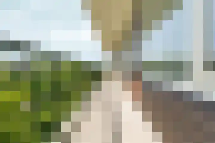 Matenalaan 163 Arnhem thumbnail 10