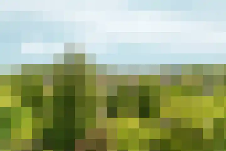 Matenalaan 163 Arnhem thumbnail 11