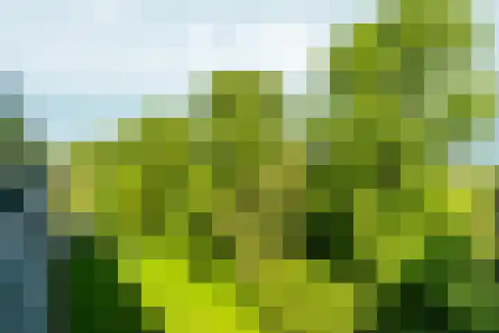 Matenalaan 163 Arnhem thumbnail 27