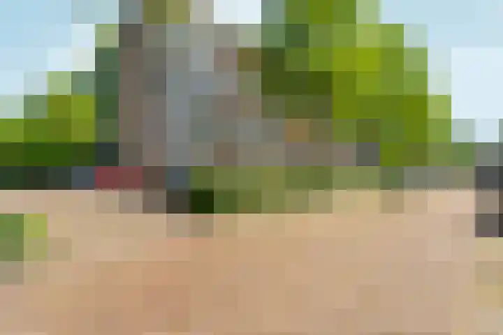 Matenalaan 163 Arnhem thumbnail 29