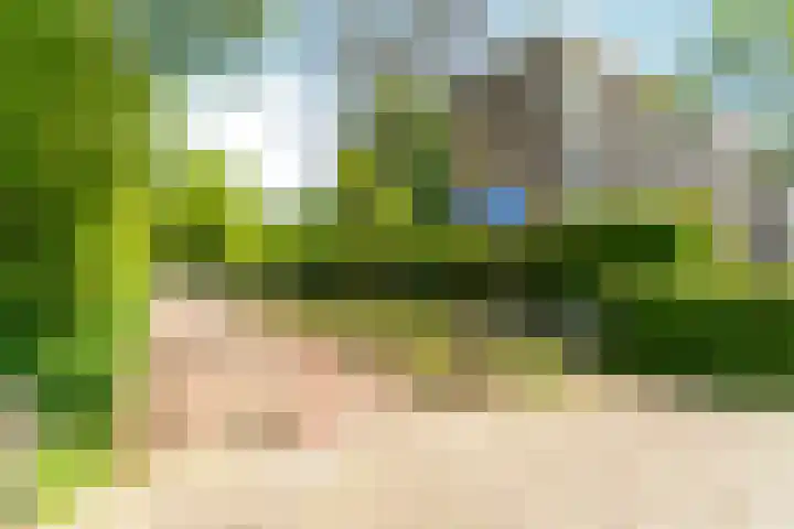 Matenalaan 163 Arnhem thumbnail 30