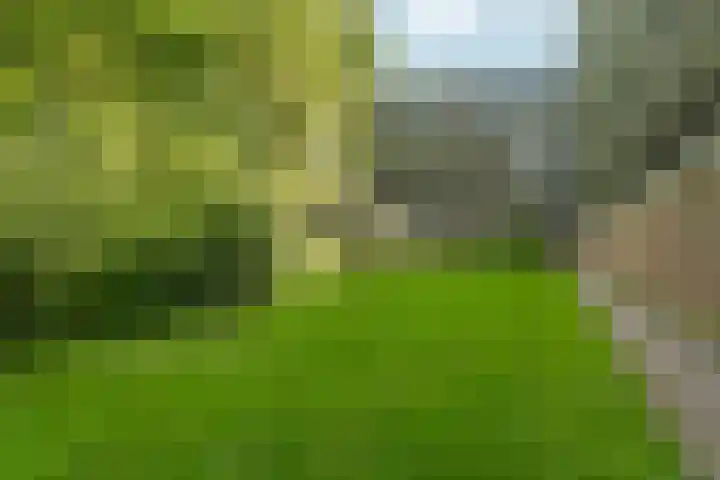 Matenalaan 163 Arnhem thumbnail 31