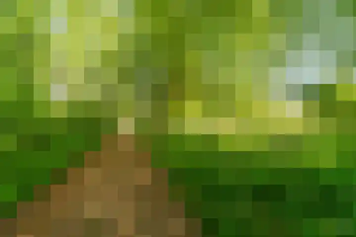 Matenalaan 163 Arnhem thumbnail 33