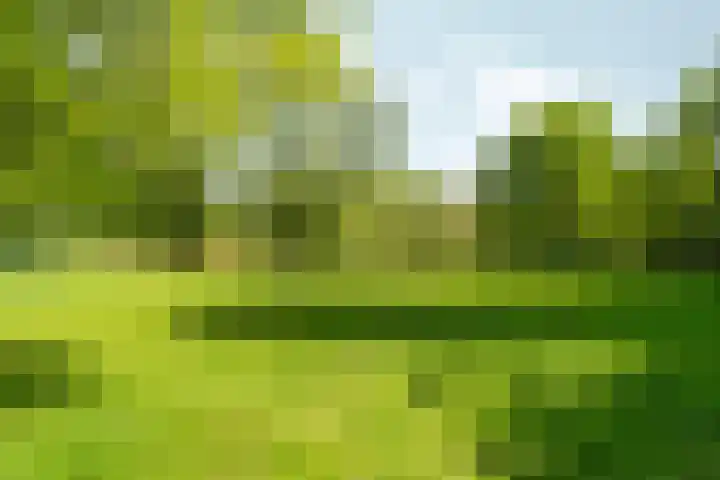 Matenalaan 163 Arnhem thumbnail 34