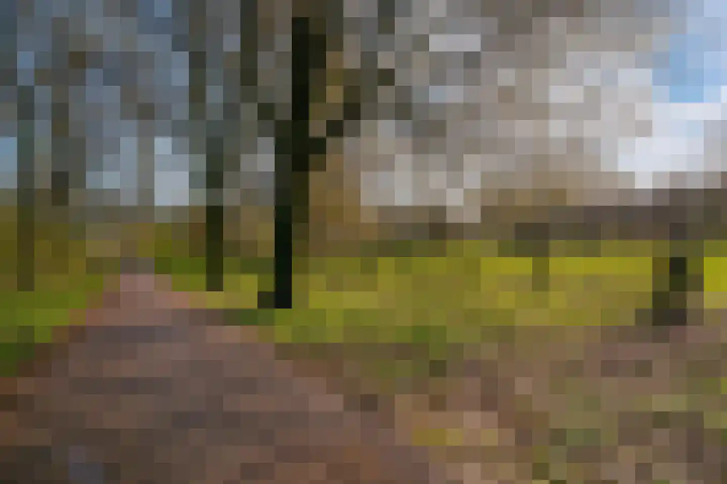 Matenalaan 167 Arnhem thumbnail 11