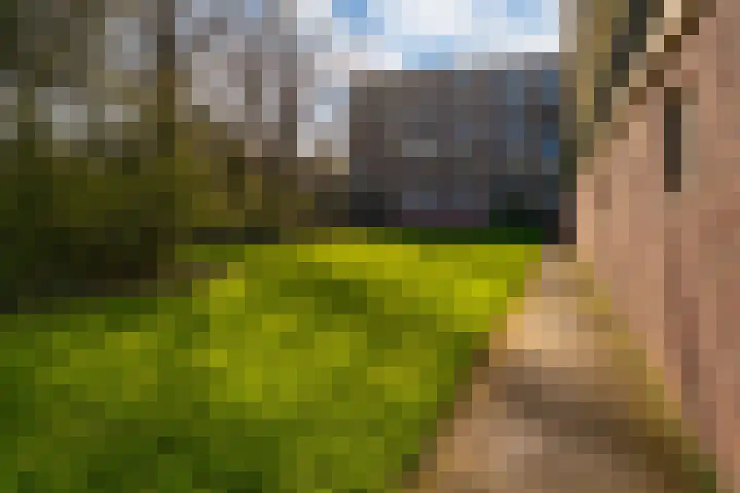 Matenalaan 167 Arnhem thumbnail 12