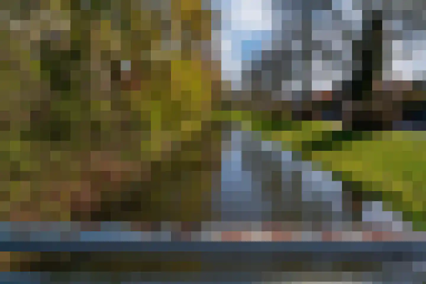 Matenalaan 167 Arnhem thumbnail 13