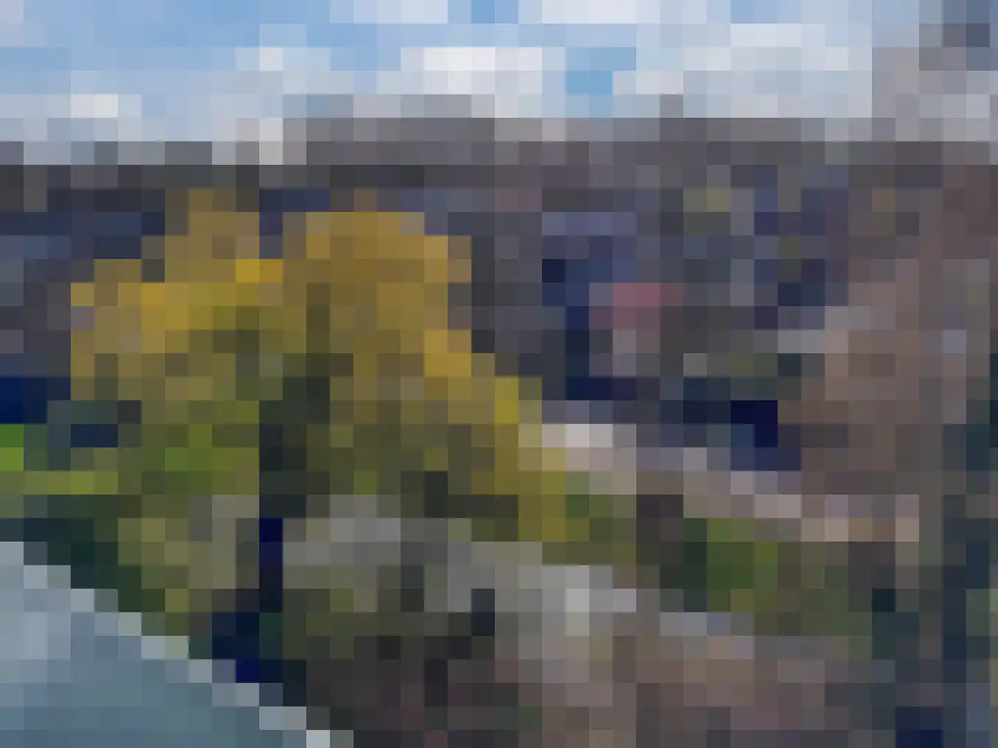 Matenalaan 167 Arnhem thumbnail 26