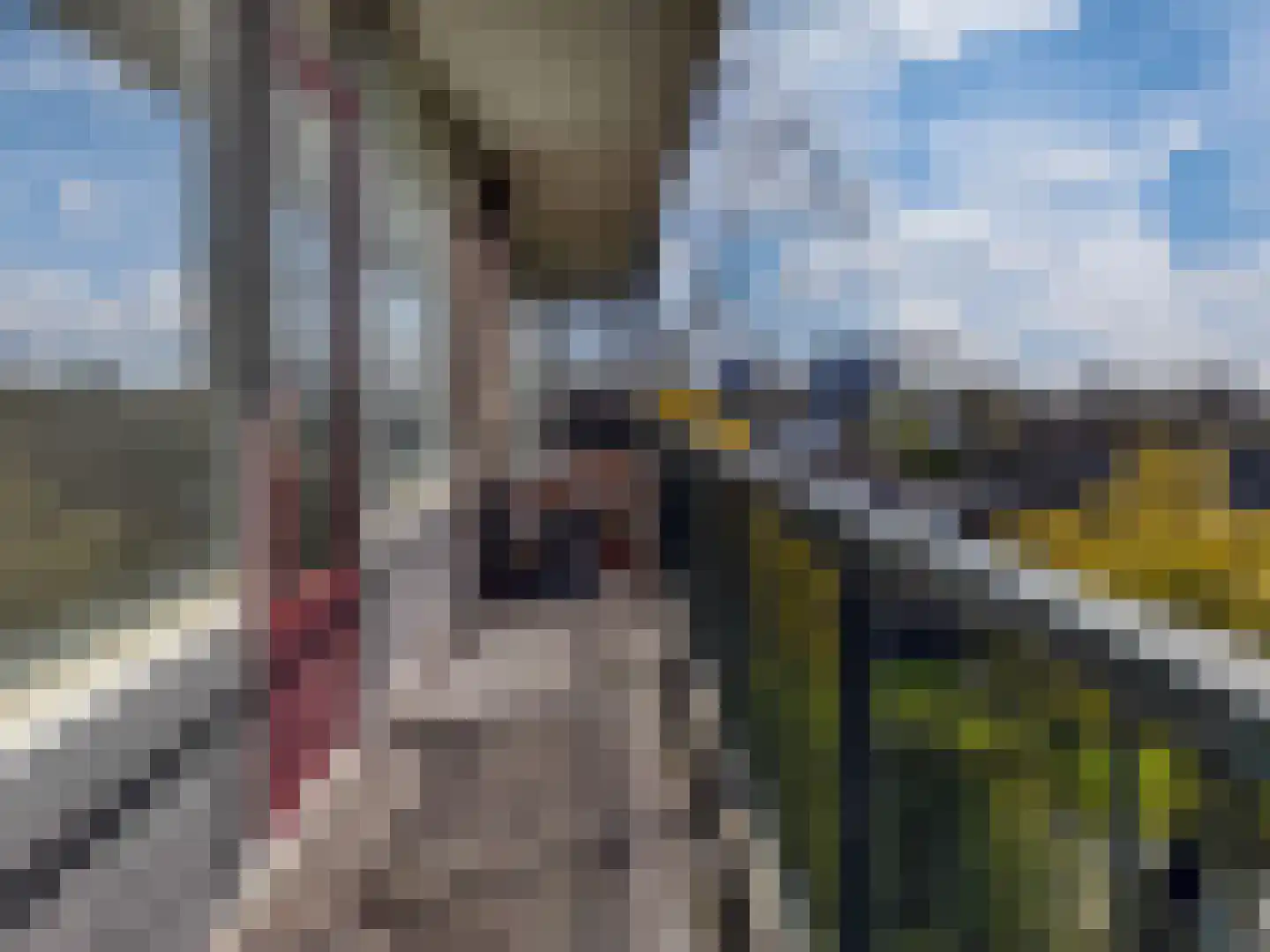Matenalaan 167 Arnhem thumbnail 5