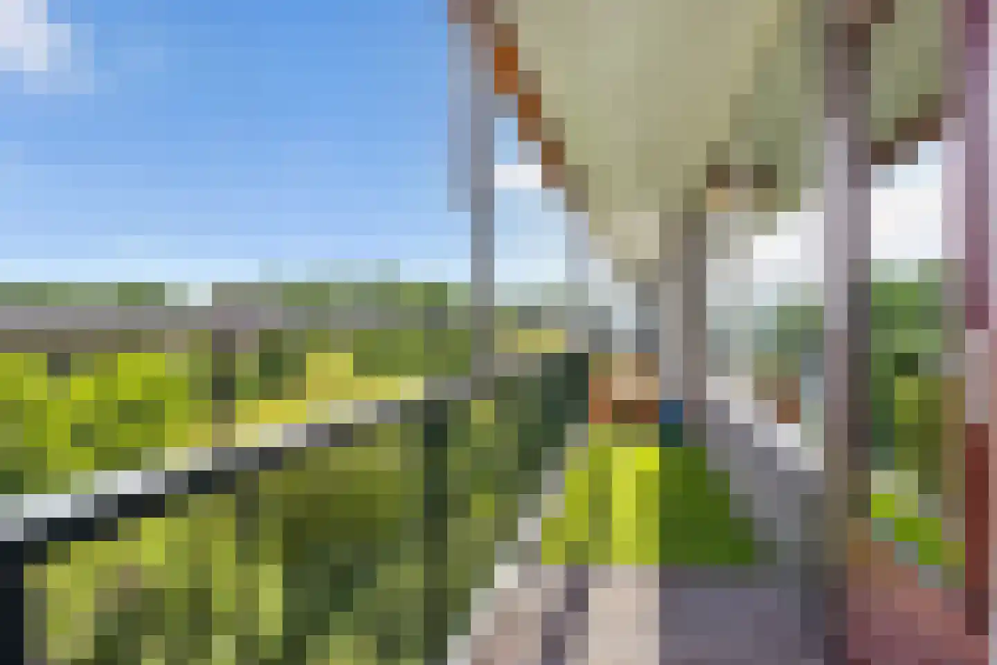 Matenalaan 169 Arnhem thumbnail 26