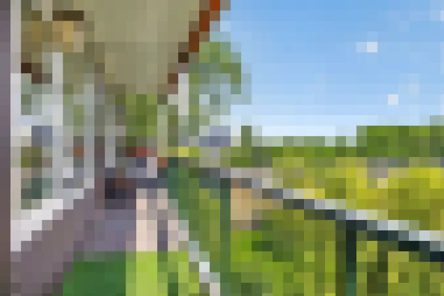 Matenalaan 169 Arnhem thumbnail 27