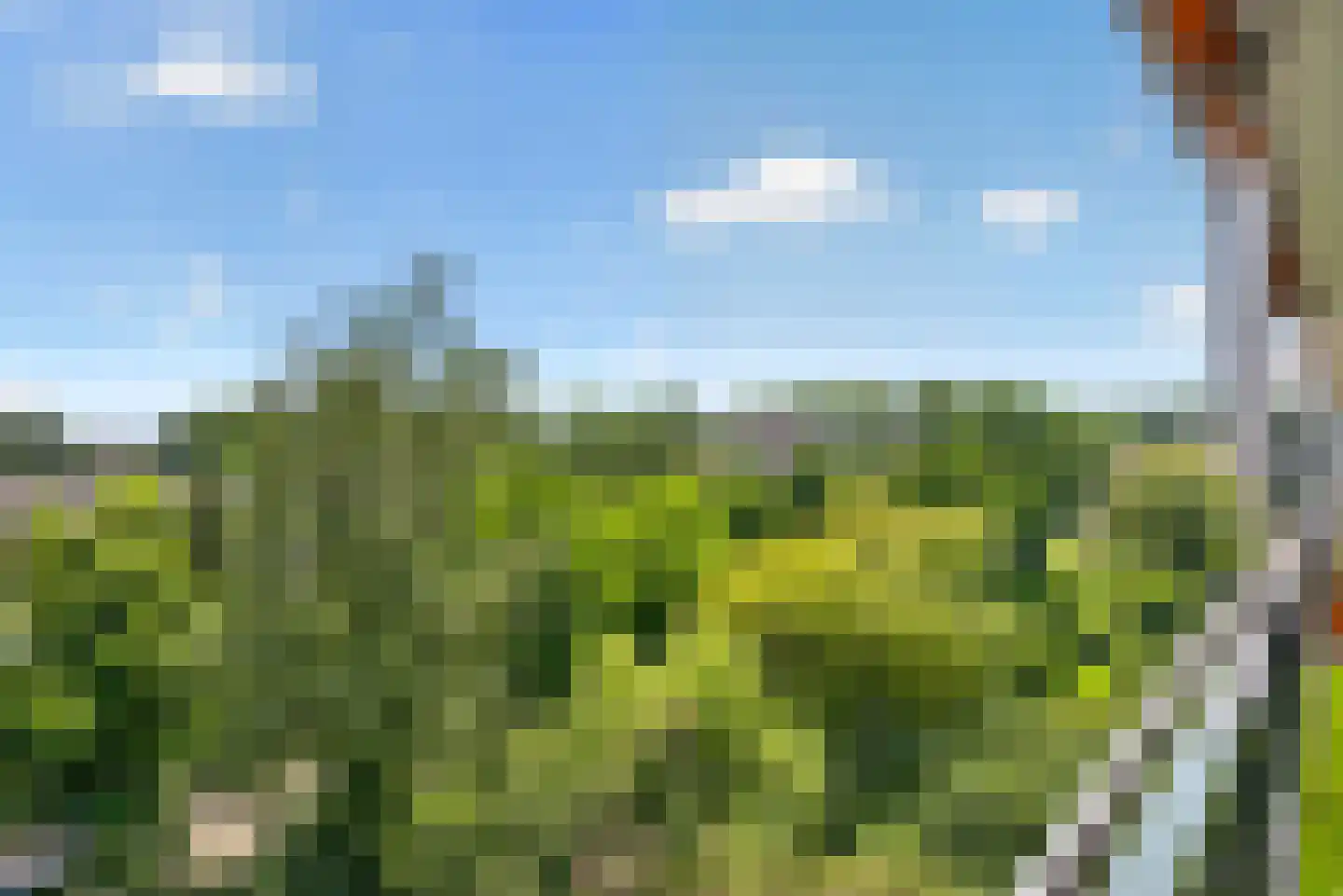 Matenalaan 169 Arnhem thumbnail 29