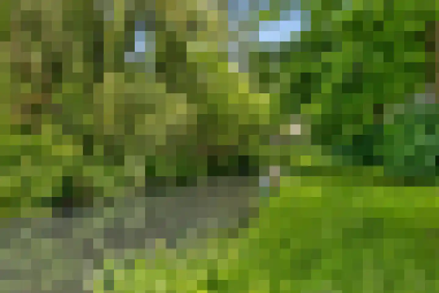 Matenalaan 169 Arnhem thumbnail 40