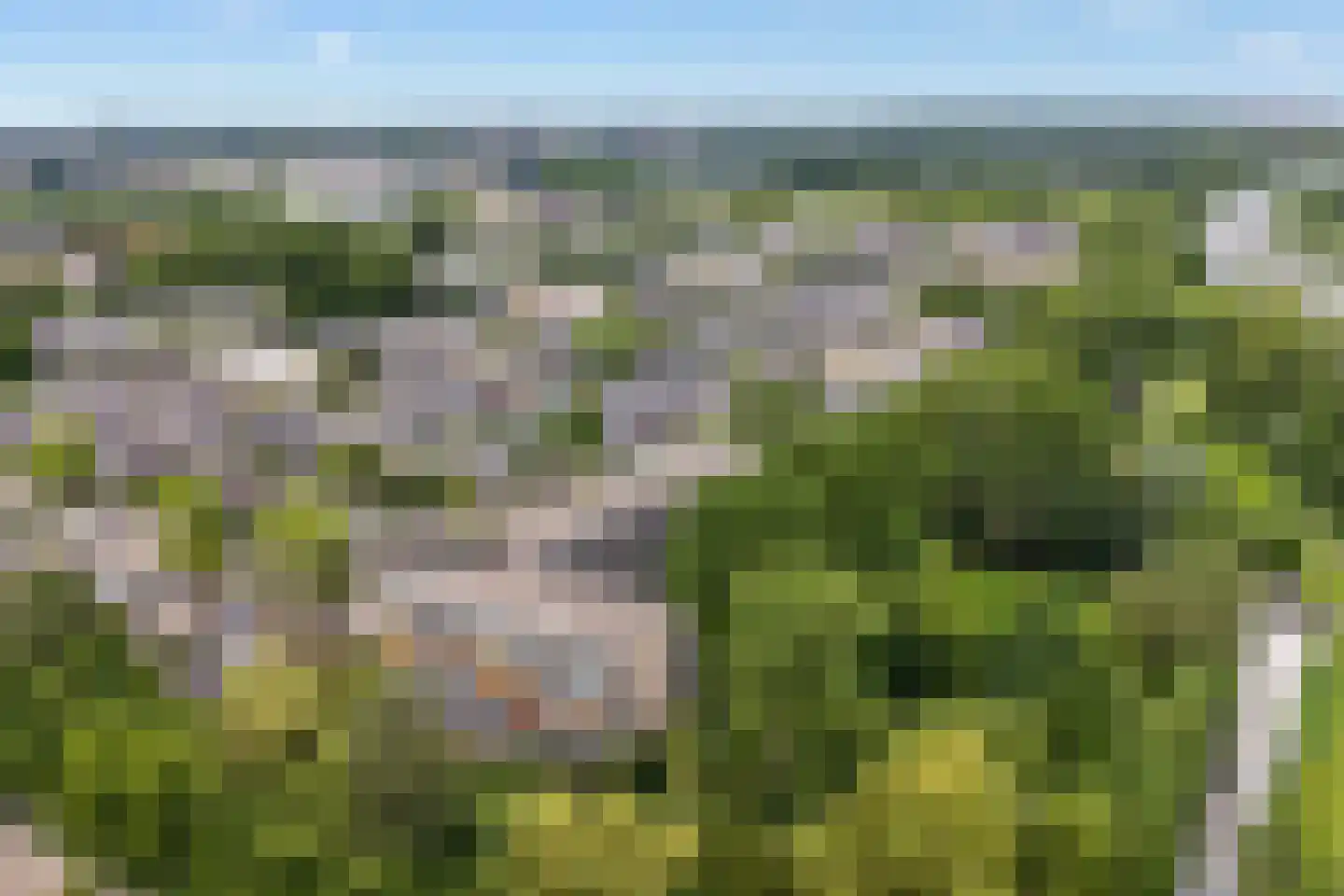 Matenalaan 169 Arnhem thumbnail 44