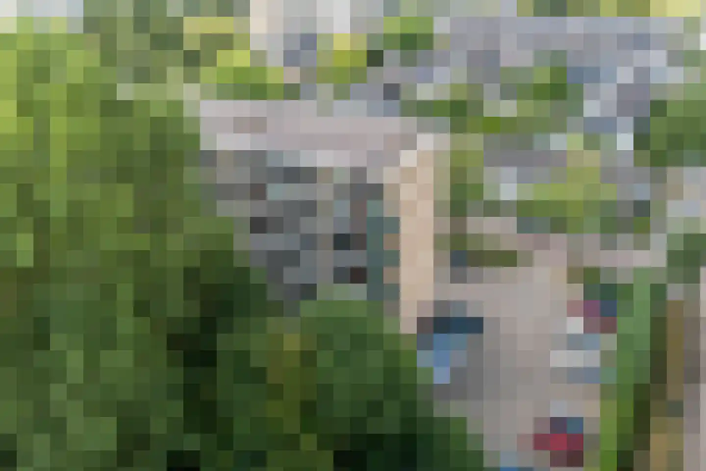 Matenalaan 31 Arnhem thumbnail 36