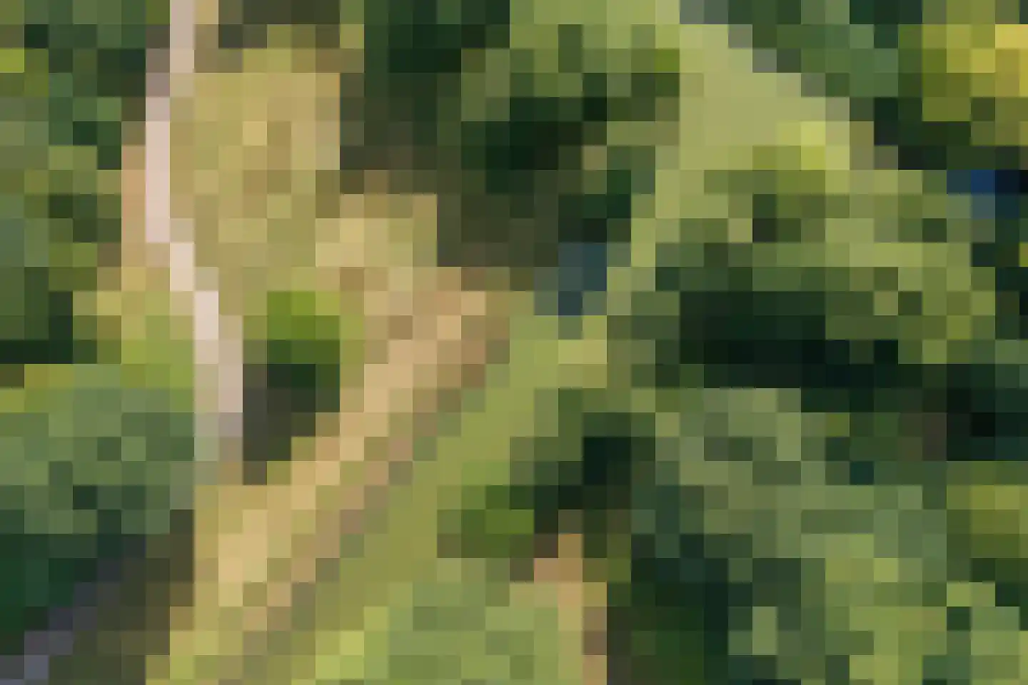 Matenalaan 31 Arnhem thumbnail 38