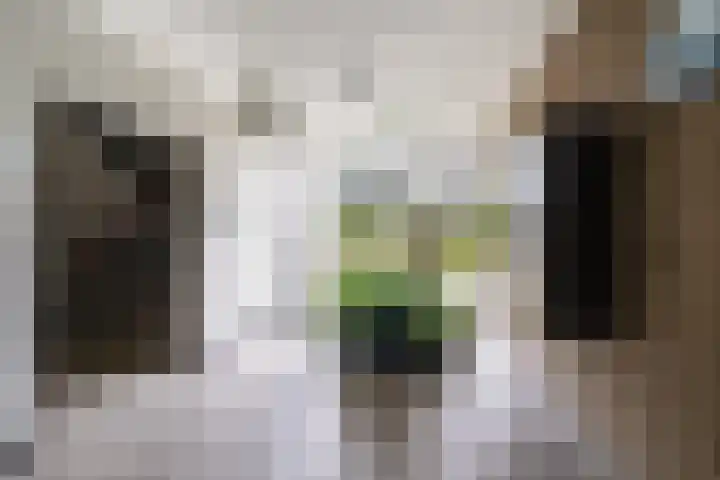 Matenalaan 85 Arnhem thumbnail 14
