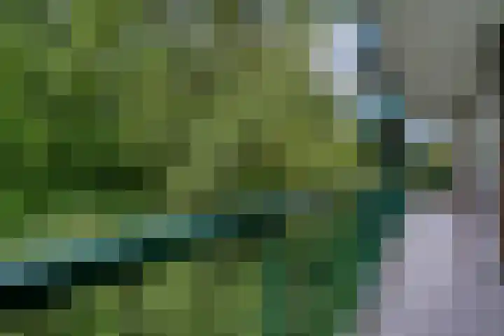 Matenalaan 85 Arnhem thumbnail 37