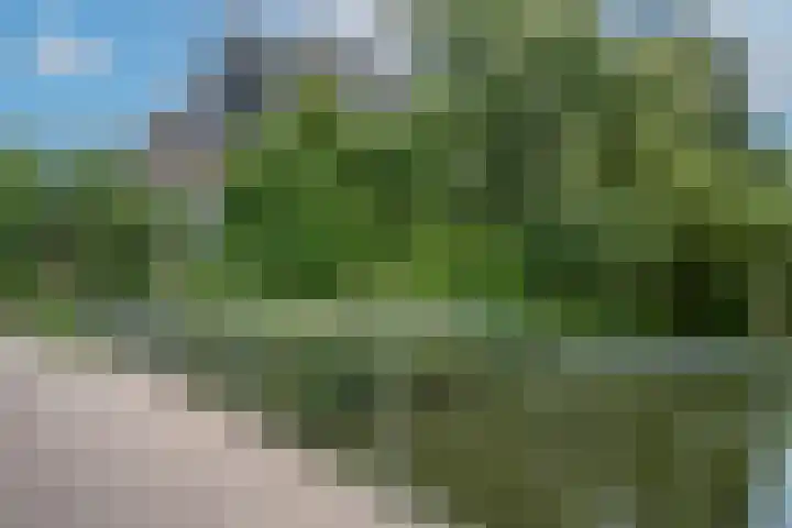 Matenalaan 85 Arnhem thumbnail 42