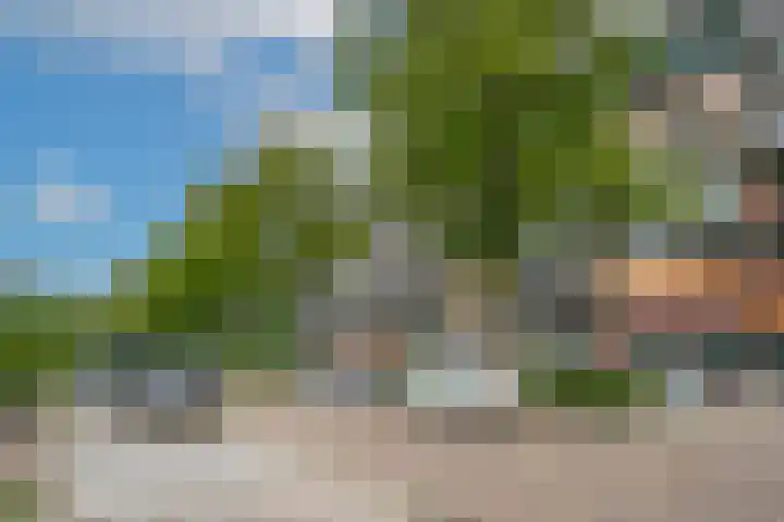 Matenalaan 85 Arnhem thumbnail 7