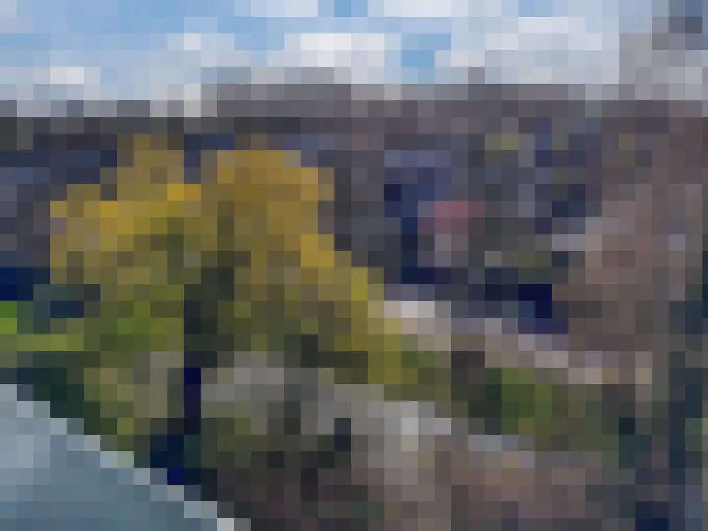 Matenalaan 89 Arnhem thumbnail 38
