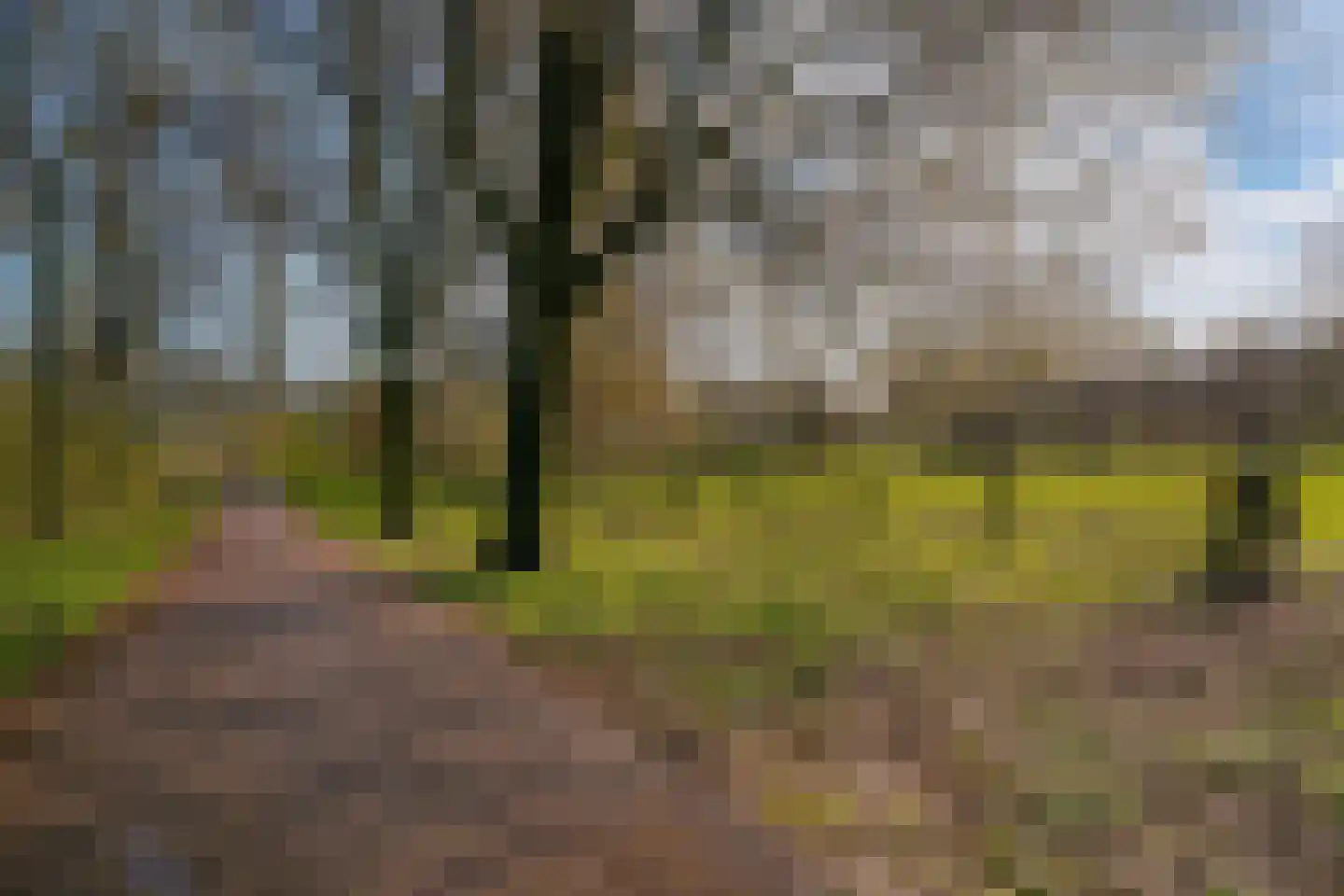 Matenalaan 89 Arnhem thumbnail 44