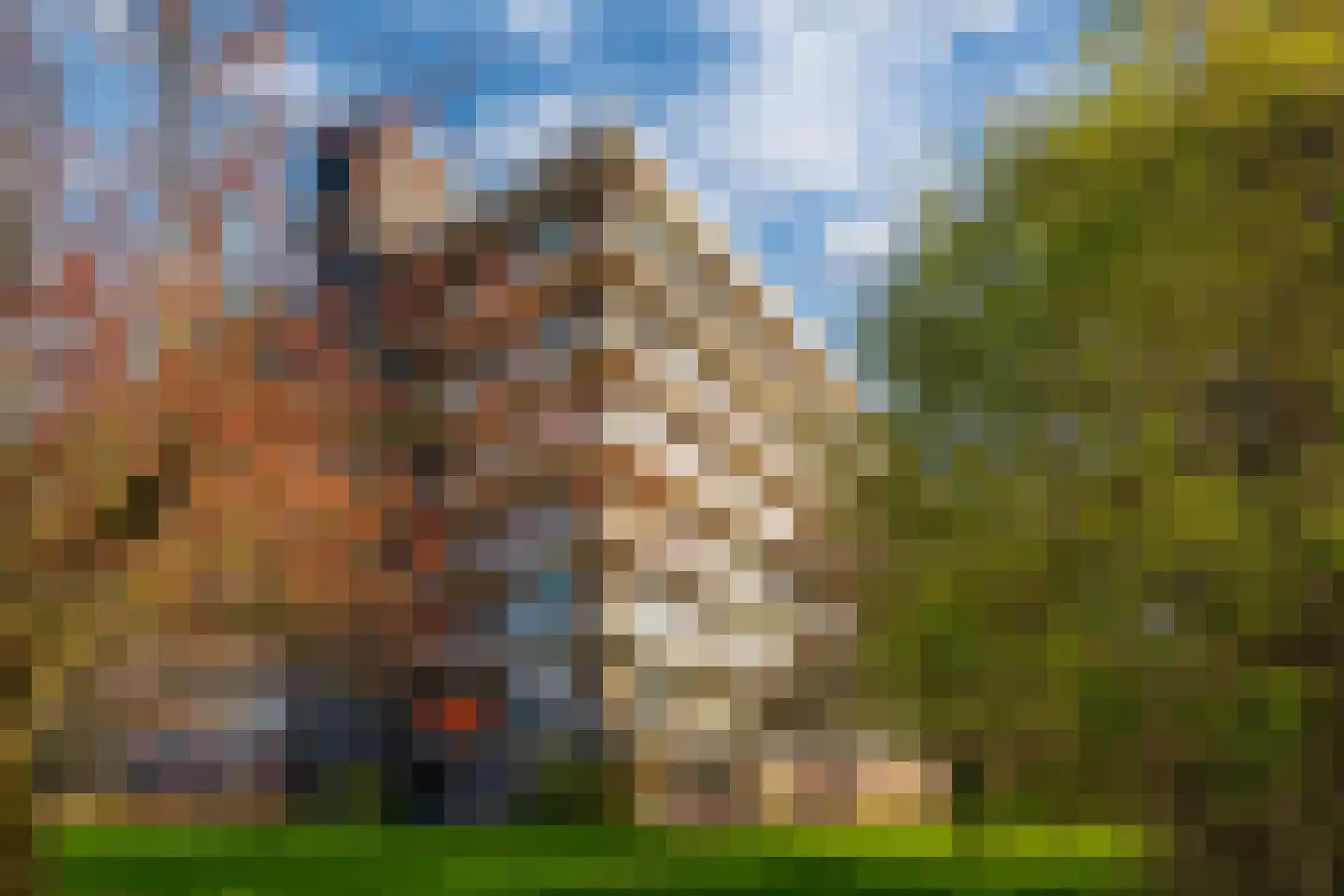 Matenalaan 89 Arnhem thumbnail 5