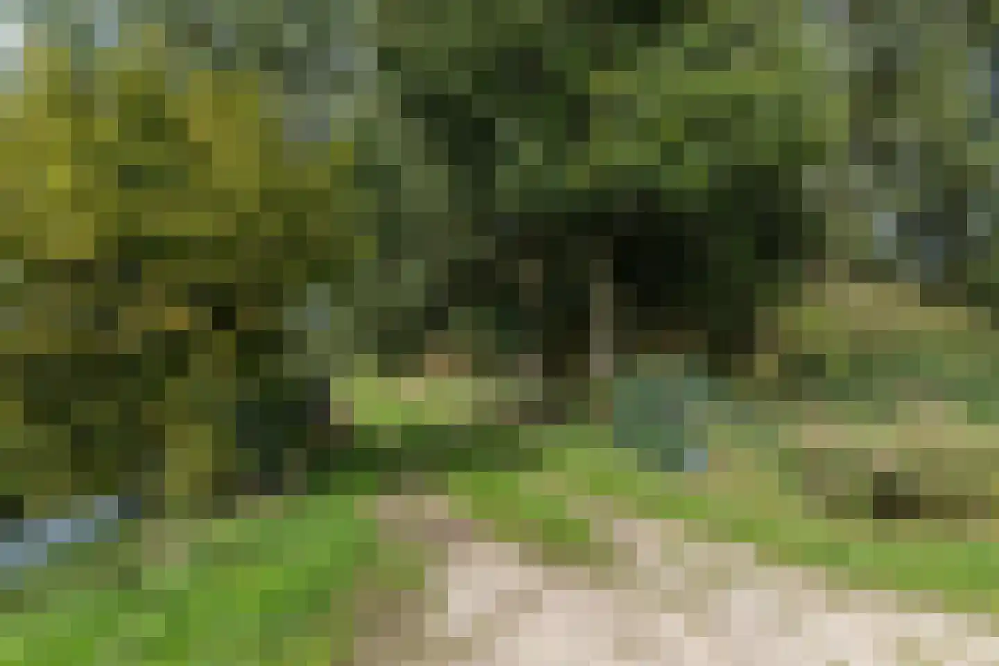 Matenasche Scheidkade 9 Papendrecht thumbnail 14