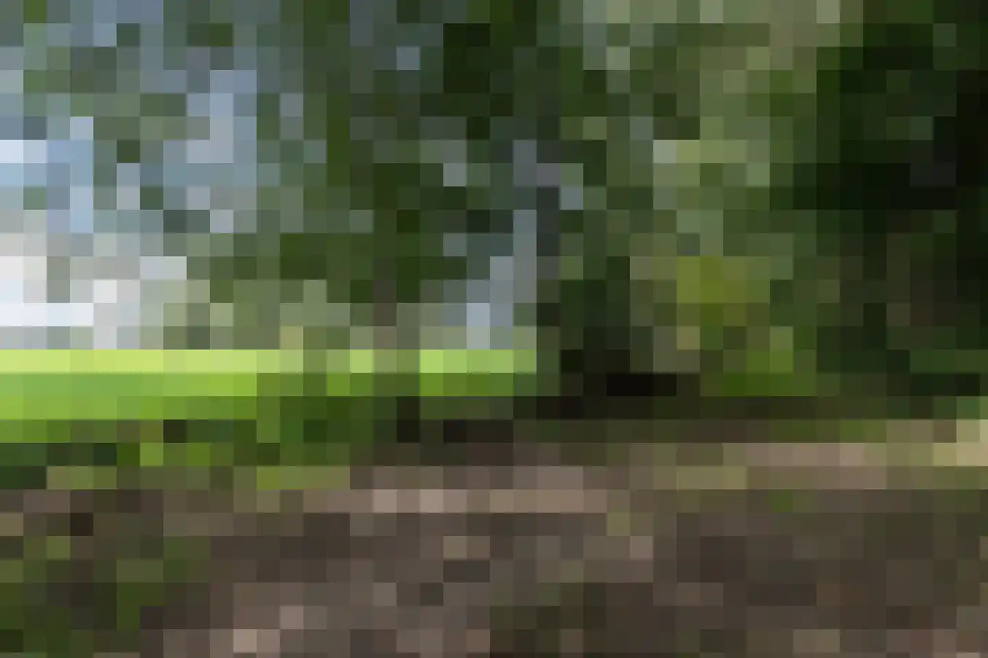 Matenasche Scheidkade 9 Papendrecht thumbnail 16