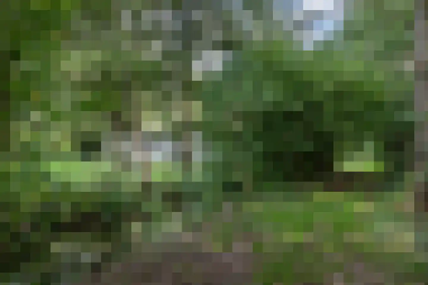 Matenasche Scheidkade 9 Papendrecht thumbnail 17