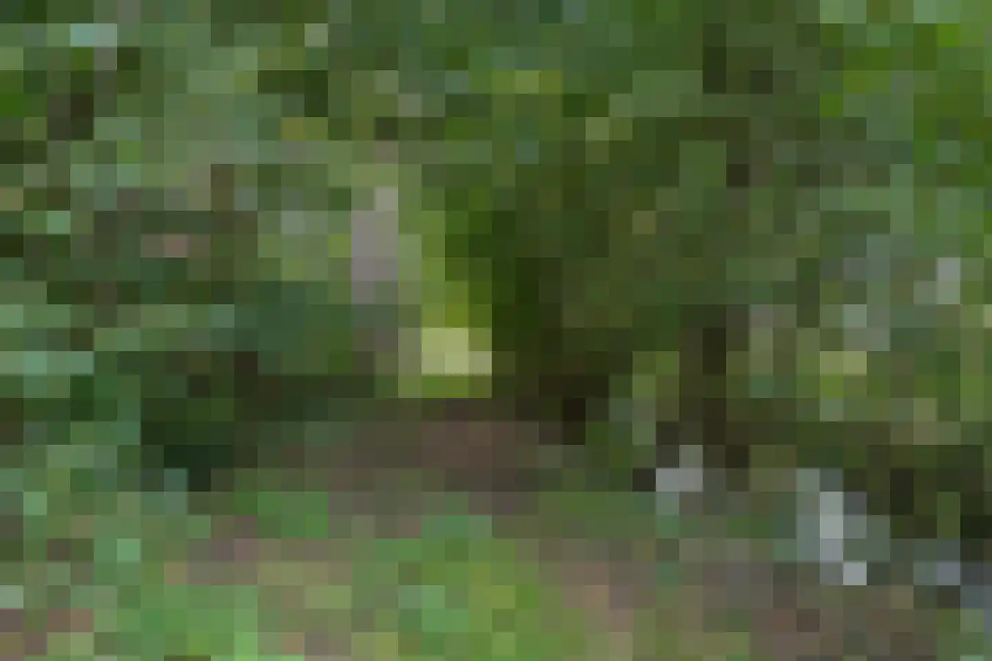 Matenasche Scheidkade 9 Papendrecht thumbnail 18