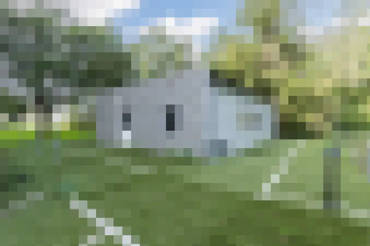 Matenasche Scheidkade 9 Papendrecht thumbnail 20