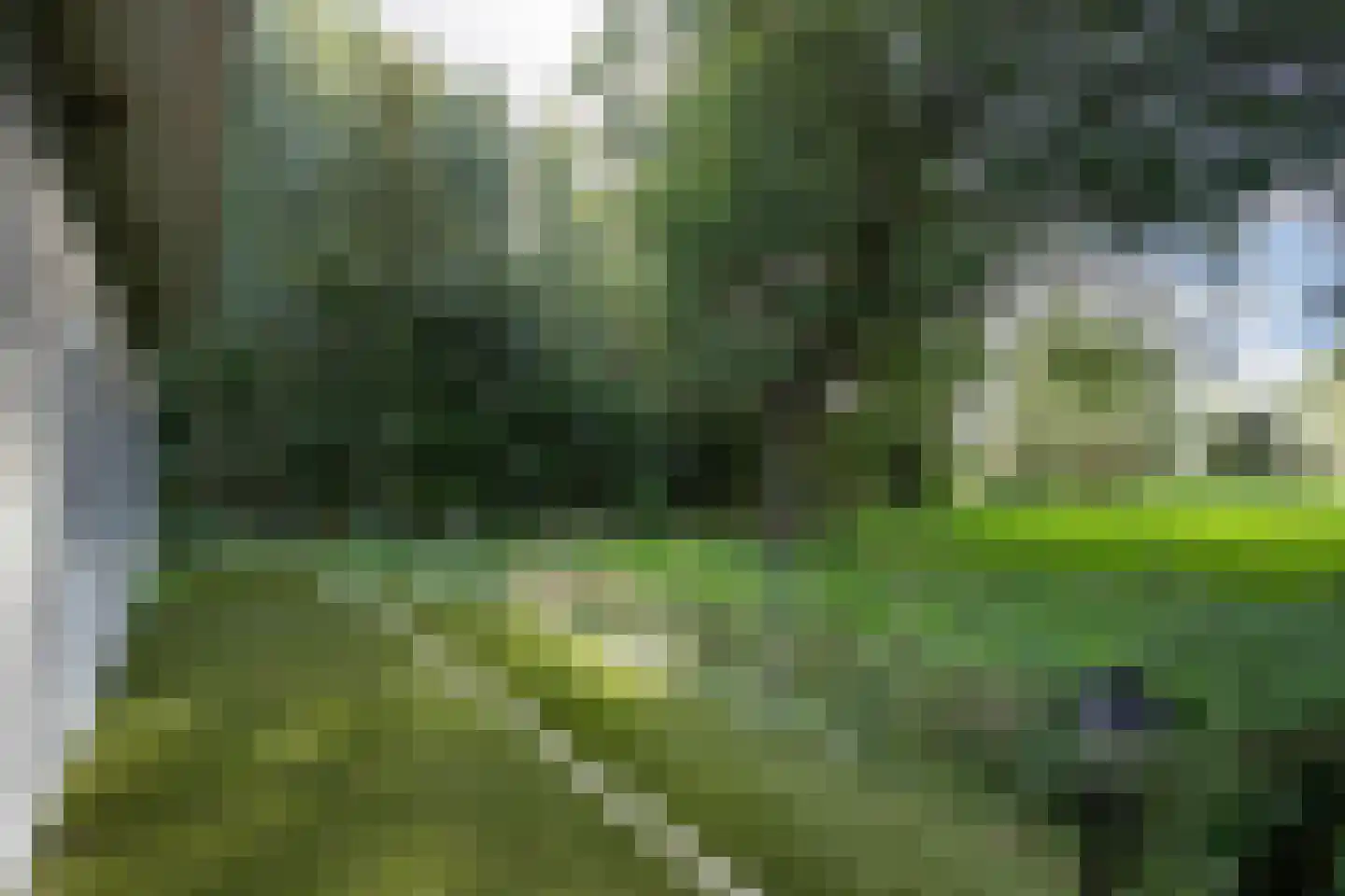 Matenasche Scheidkade 9 Papendrecht thumbnail 26