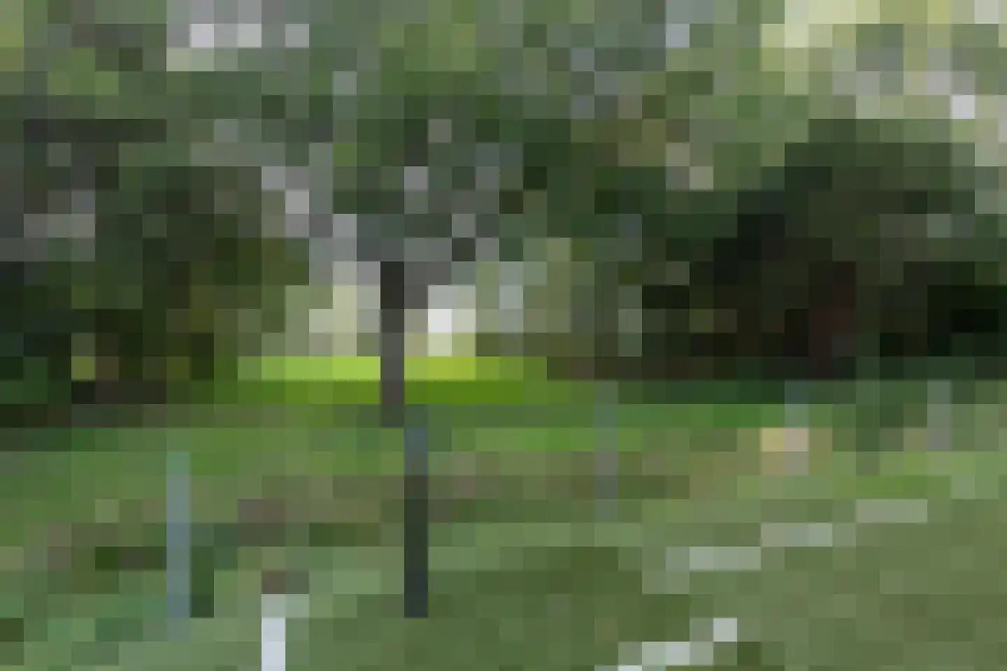 Matenasche Scheidkade 9 Papendrecht thumbnail 27