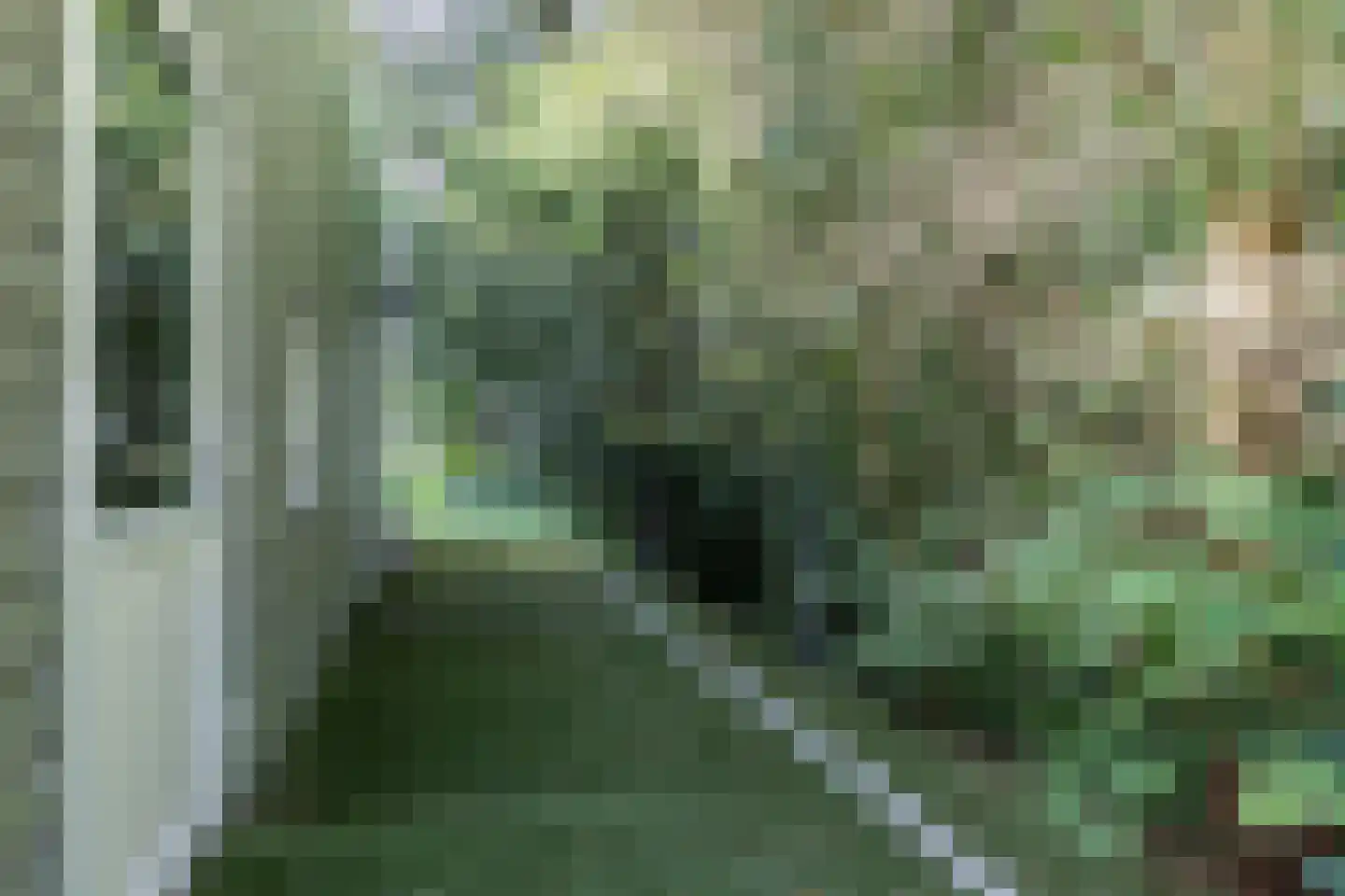 Matenasche Scheidkade 9 Papendrecht thumbnail 30