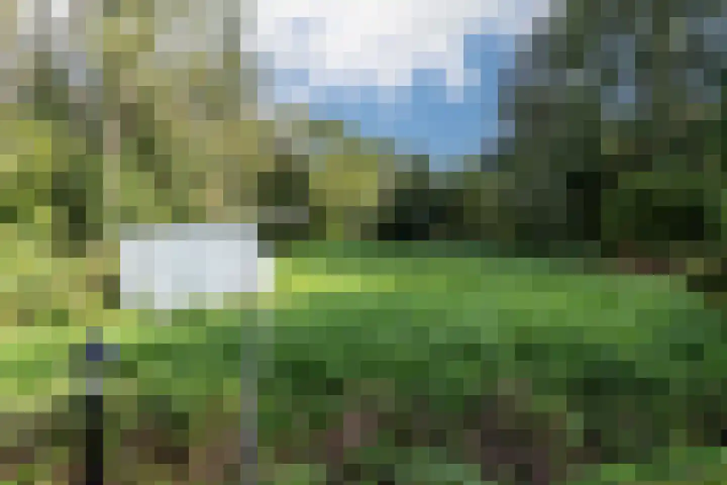 Matenasche Scheidkade 9 Papendrecht thumbnail 33