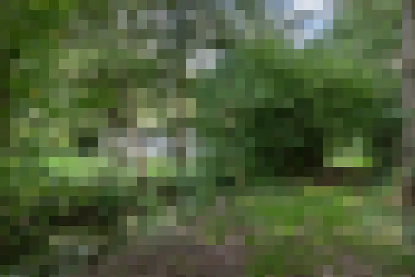 Matenasche Scheidkade 9 Papendrecht thumbnail 4
