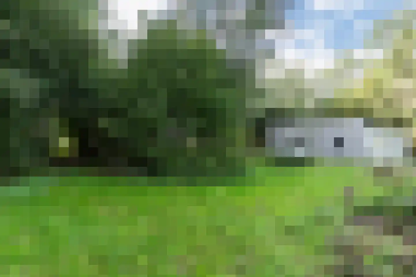 Matenasche Scheidkade 9 Papendrecht thumbnail 5