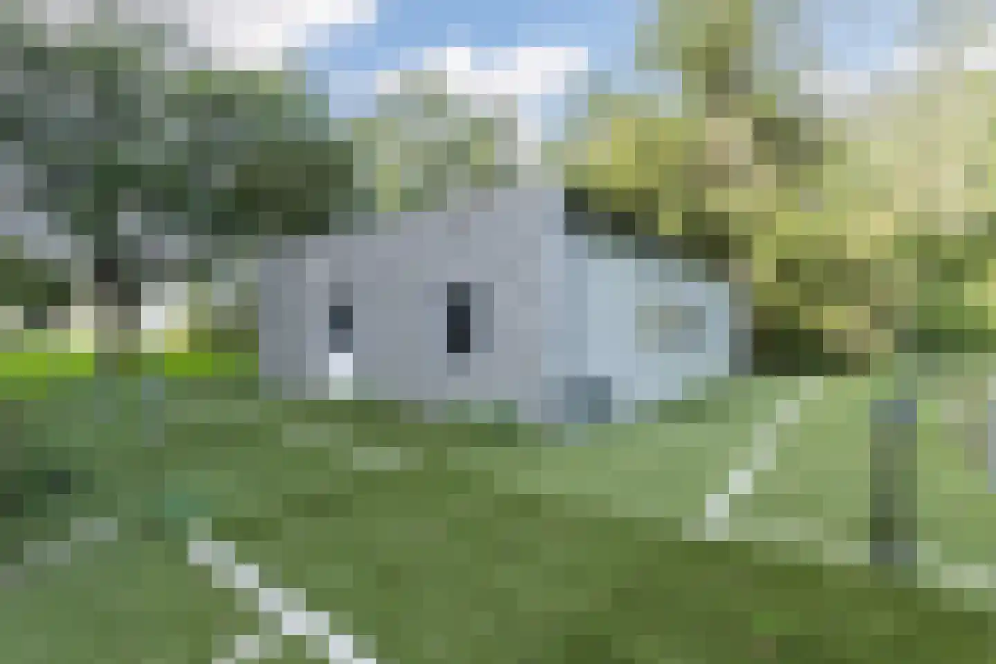 Matenasche Scheidkade 9 Papendrecht thumbnail 6