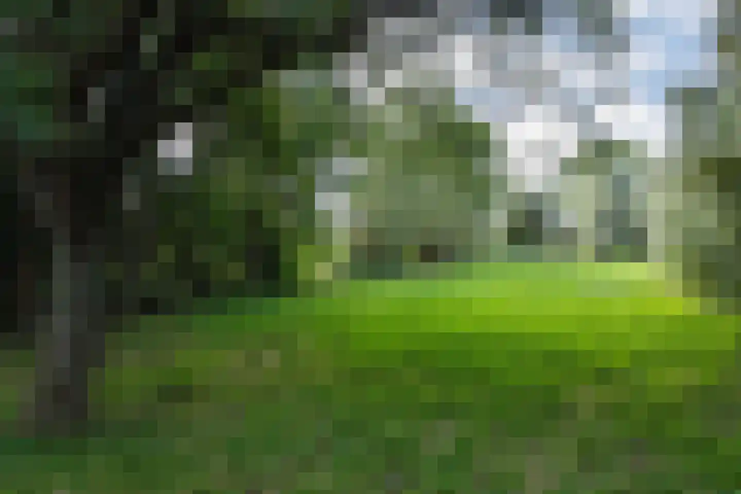 Matenasche Scheidkade 9 Papendrecht thumbnail 8