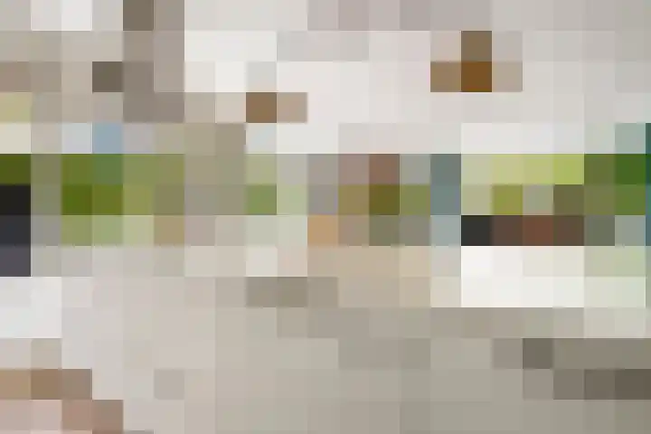 Matenesse-hof 24 Amsterdam thumbnail 10