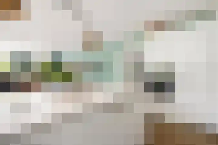 Matenesse-hof 24 Amsterdam thumbnail 11