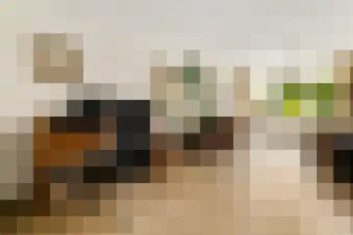 Matenesse-hof 24 Amsterdam thumbnail 13