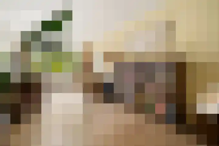 Matenesse-hof 24 Amsterdam thumbnail 14