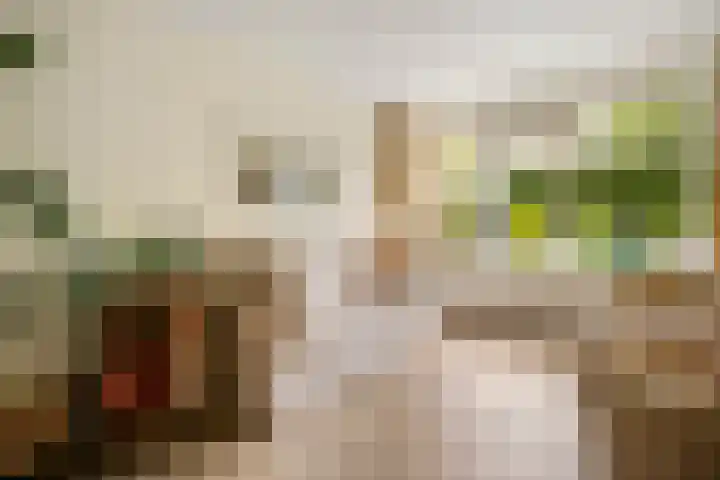 Matenesse-hof 24 Amsterdam thumbnail 15