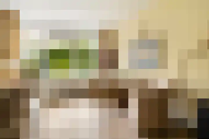 Matenesse-hof 24 Amsterdam thumbnail 16