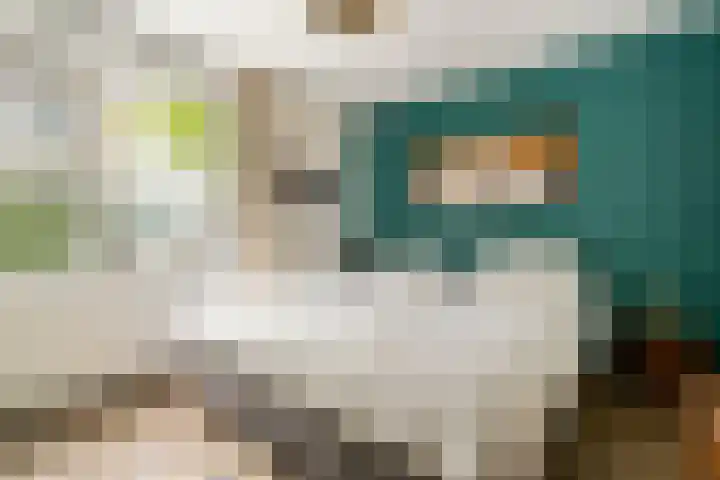 Matenesse-hof 24 Amsterdam thumbnail 18