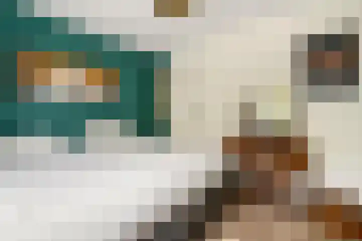 Matenesse-hof 24 Amsterdam thumbnail 19