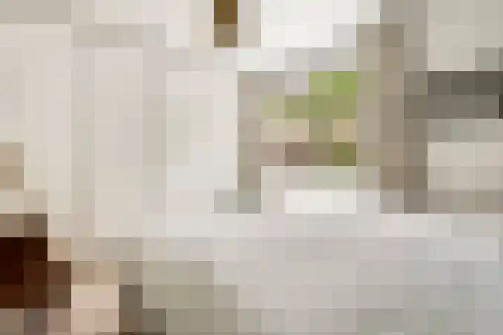 Matenesse-hof 24 Amsterdam thumbnail 20